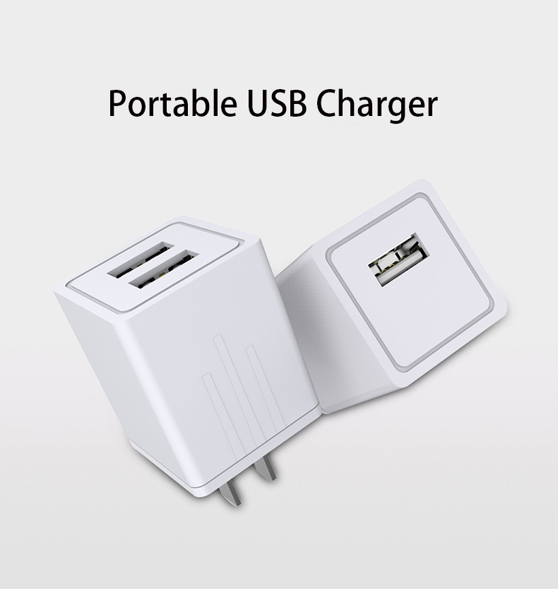 Mobile phone charger   Dual USB fast Charger 2.1A intelligent General charger