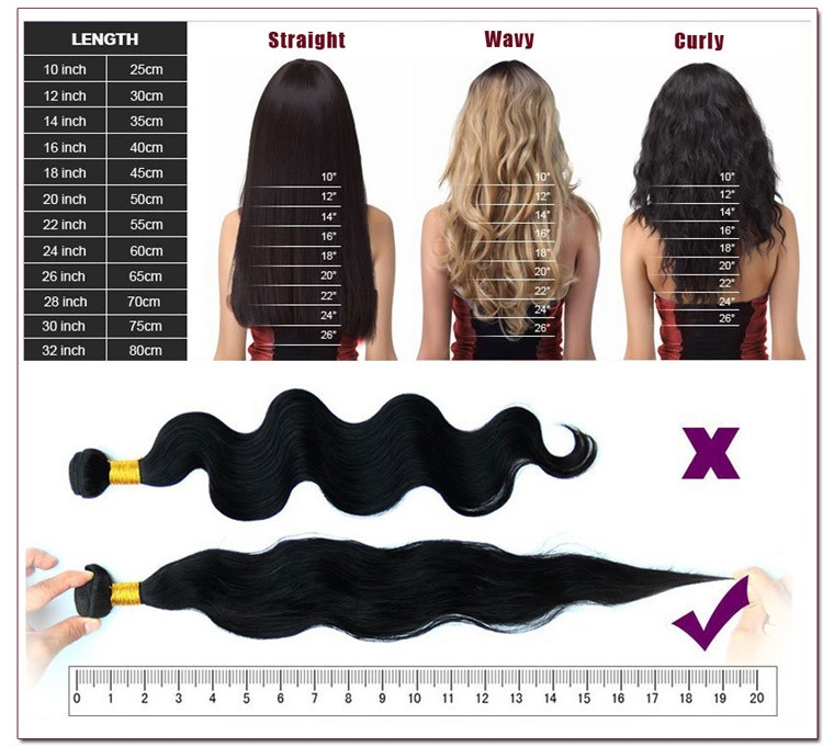5set  Plate Dispenser Ball Head Fake Money Hair Bands Hairdressing Curling Circle French Curls