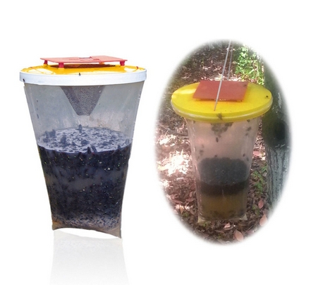 Environmental Flies Be Gone Non Toxic Fly Trap Flies Away Home outdoor