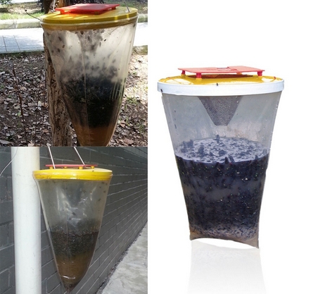 Environmental Flies Be Gone Non Toxic Fly Trap Flies Away Home outdoor