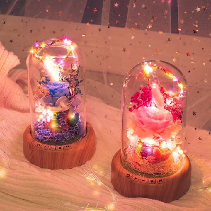 Creativity Wish Streamer Mini Bluetooth Speakers Eternal Flower Night light Birthday Present