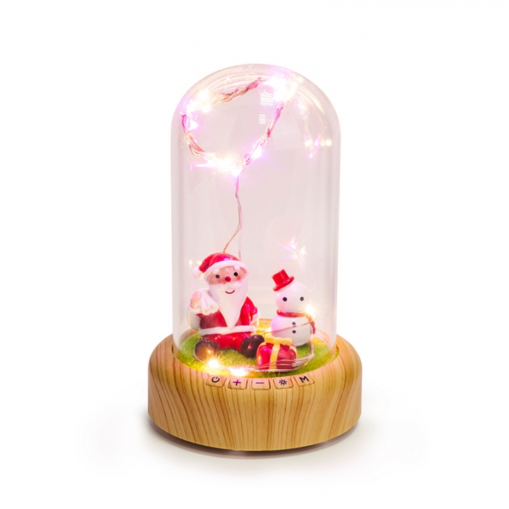 Creativity Wish Streamer Mini Bluetooth Speakers Eternal Flower Night light Birthday Present