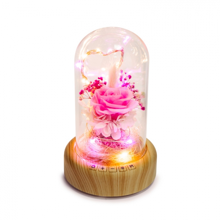 Creativity Wish Streamer Mini Bluetooth Speakers Eternal Flower Night light Birthday Present