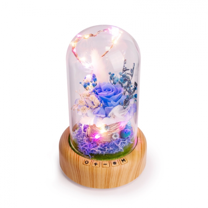 Creativity Wish Streamer Mini Bluetooth Speakers Eternal Flower Night light Birthday Present
