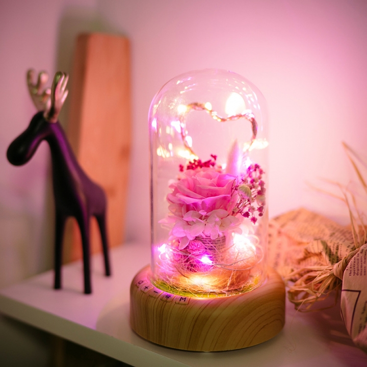 Creativity Wish Streamer Mini Bluetooth Speakers Eternal Flower Night light Birthday Present
