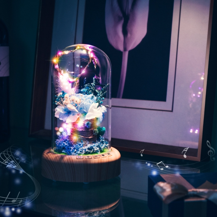 Creativity Wish Streamer Mini Bluetooth Speakers Eternal Flower Night light Birthday Present