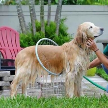 Pets Cleaner Love Washing Dog Convenient Clean Tool Easy Using Washing Gun