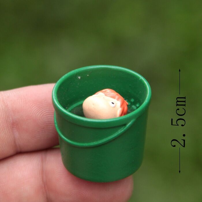 Goldfish Ji Boiu Diy landscaping Micro landscape Succulents Gardening Accessories
