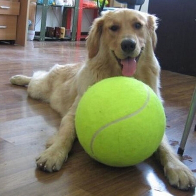 Big Tennis Signature 24cm Inflatable Tennis Festival Activity gift Pet tennis Bite toy