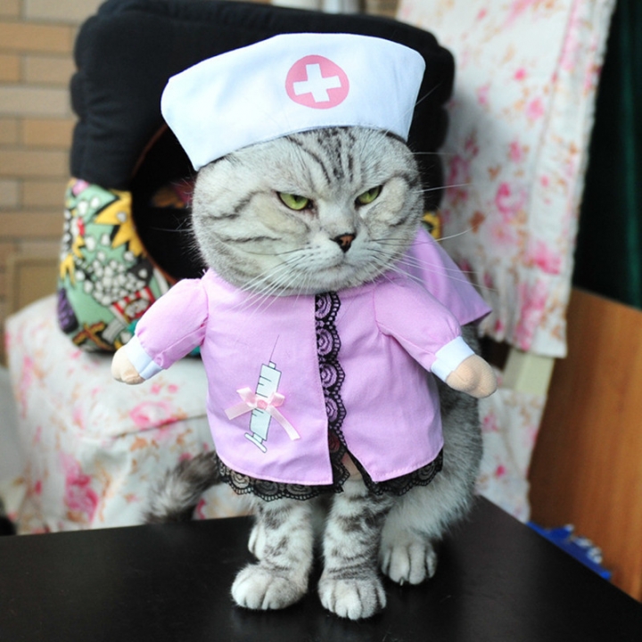 Pet Nurse Transformed Dress Dog Standing Cat Funny uniform clothes