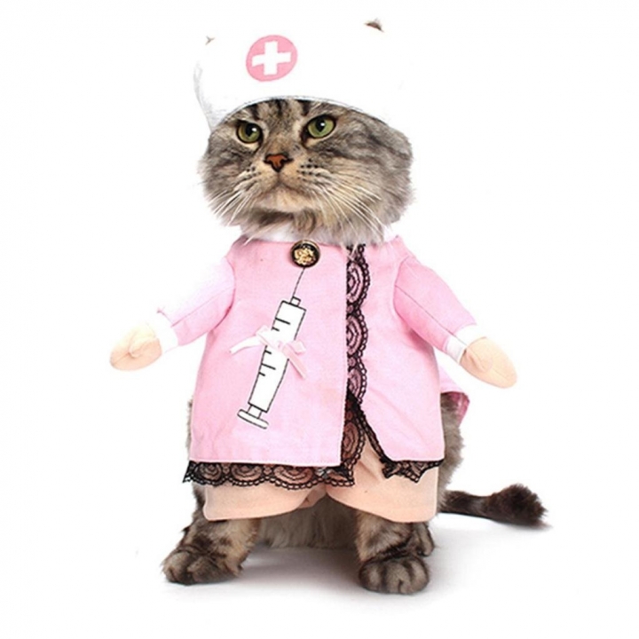 Pet Nurse Transformed Dress Dog Standing Cat Funny uniform clothes