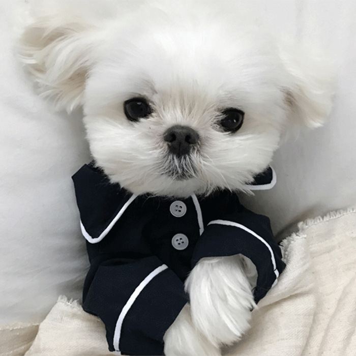 French Dog Pajamas Bomei Bichon Bullfighting Small dog Teddy Pet clothes Blouse