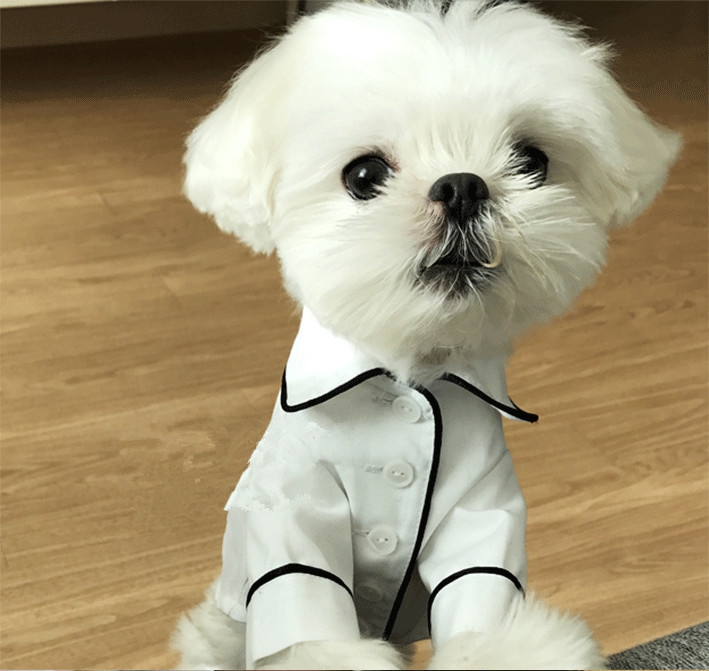 French Dog Pajamas Bomei Bichon Bullfighting Small dog Teddy Pet clothes Blouse