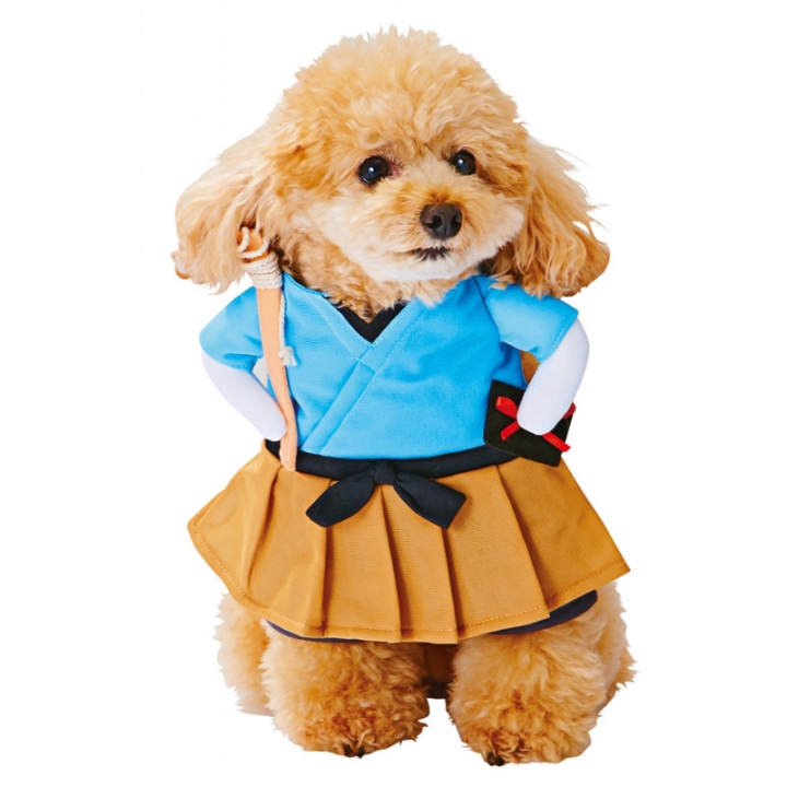 Pet Dog Transformed dress Urawa Taro Standing Teddy Bichon pet Clothes