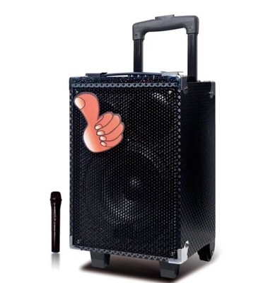 8 Inch Portable Trolley Battery Outdoor Audio Speaker Wireless Bluetooth Microphone Speaker