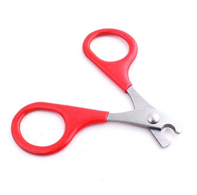 Cat Nail scissors pet Dog pet Nail clipper Kitten scissors