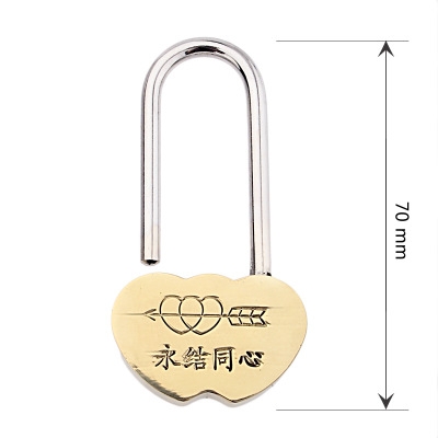 Concentric lock Scenic spot Wedding Wish lock Peace padlock Love lock To tie the knot