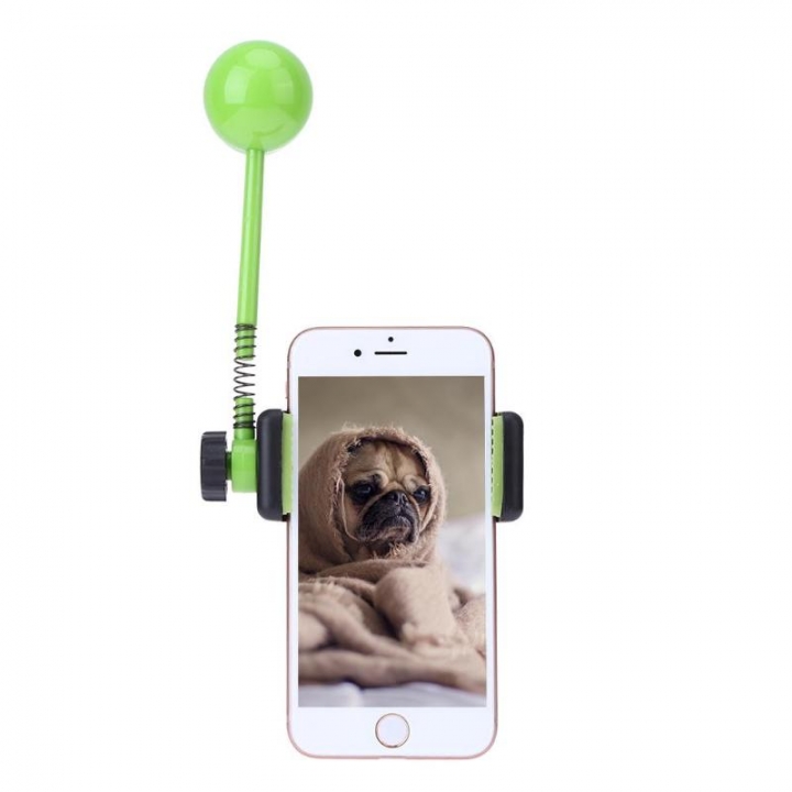Pet Parade Launcher Grabs Spoon Pets Dog Photo Feeder Photography Aid Props