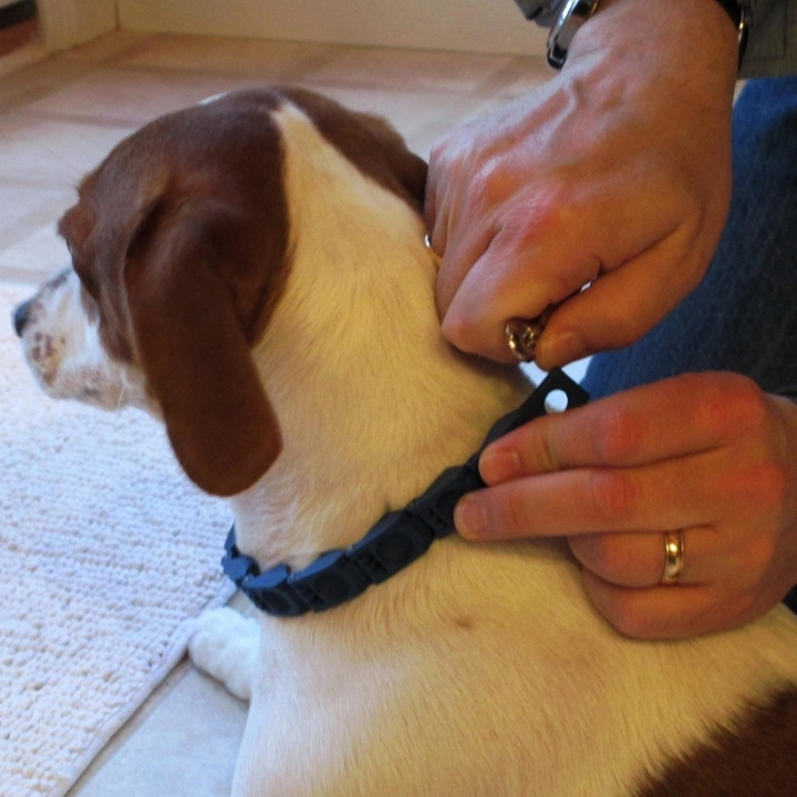 Don Sullivan Perfect Dog Command Collar Reduce Pulling Jumping Pinch Training for Medium/ Large dogs