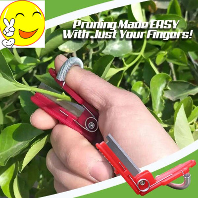 Pick vegetables Artifact grape Pinch Sharpen Ring Defoliation greenhouse Greenhouse Fruit picker