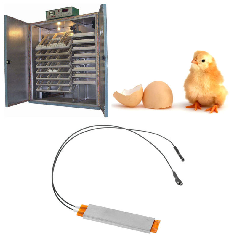 Heating Incubator Heater Element Plate For Incubator Hatching Eggs 220v/110v