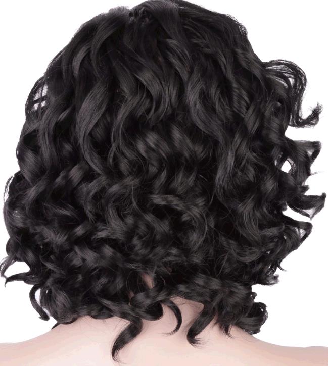 Bob hair wigs small black curls wig lady style wigs