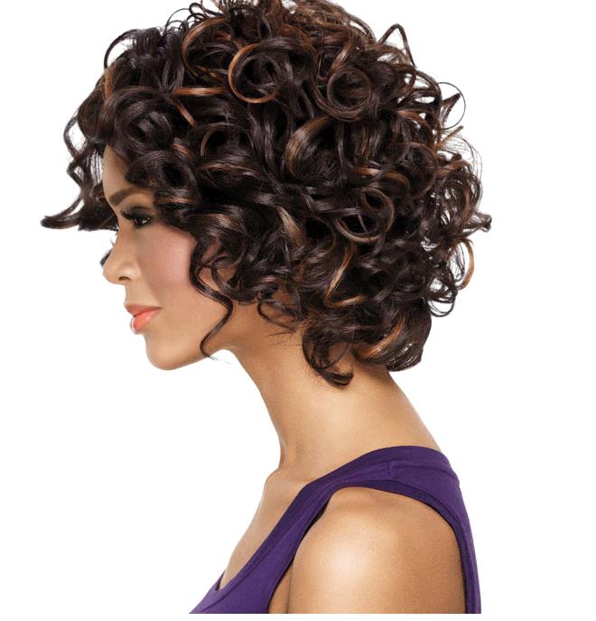 Ladies Fashionable Short Curly Wig Headset Women Wigs