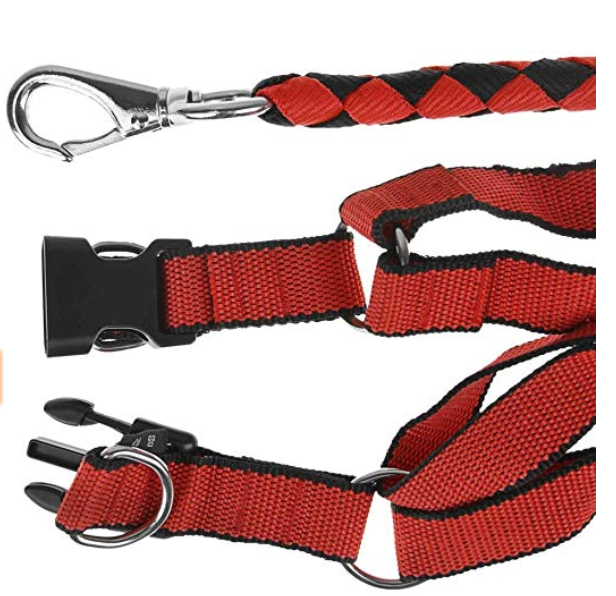 2021 New  Pet Dog Collar Safety Pet Collar ForDog Collar Jewelry  Buckles Dogs ats Pets Pet Supplie