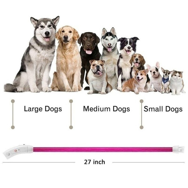 Nylon Fluorescent Collars Pet Supplies Shining Pet Dog Collar LED Light Luminous Pet Collar Traction