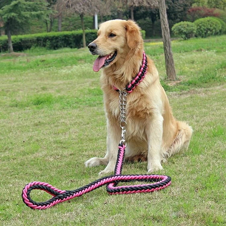 Pet Adjustable Nylon Dog Rope Slip Training Walking Leash Pet Collar Traction Rope for Large Dogs