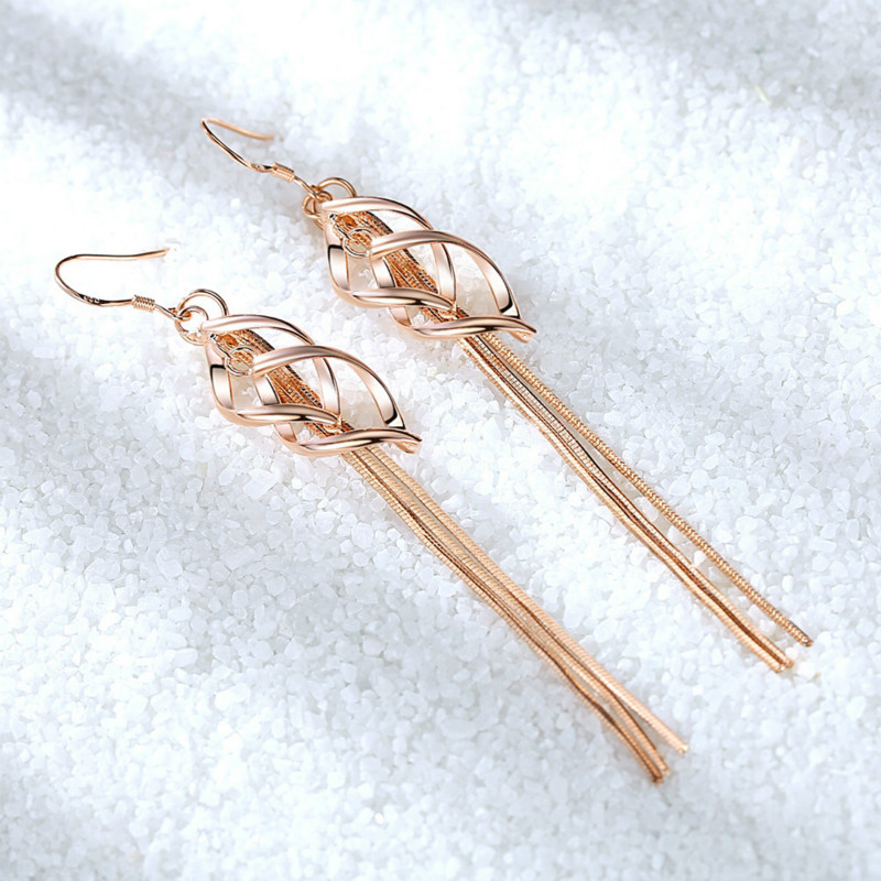 Korean version of fashion exaggerated tassel earrings 925 silver jewellery jewelry studs for women