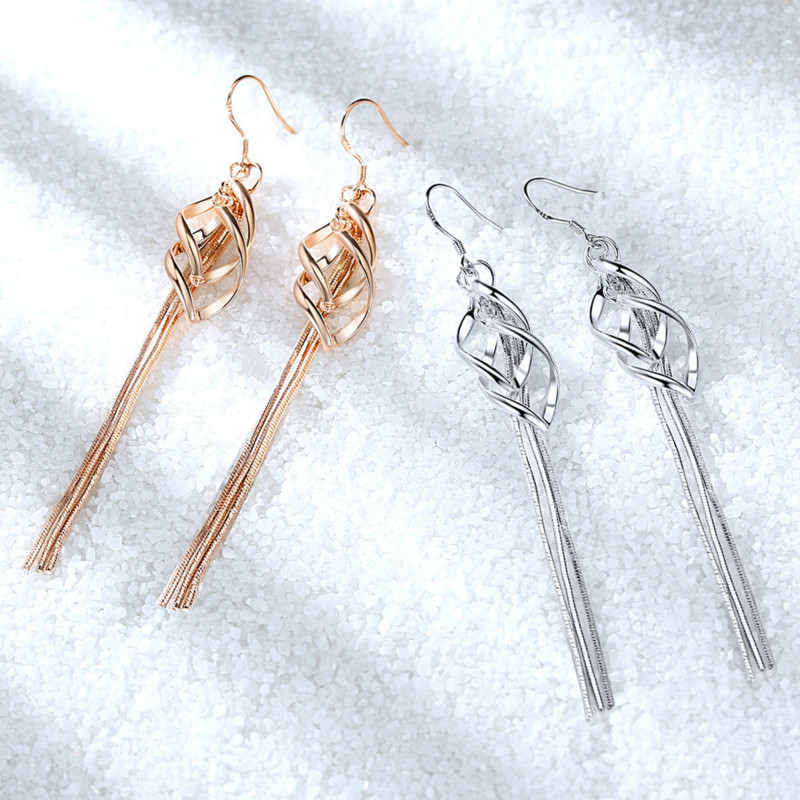 Korean version of fashion exaggerated tassel earrings 925 silver jewellery jewelry studs for women