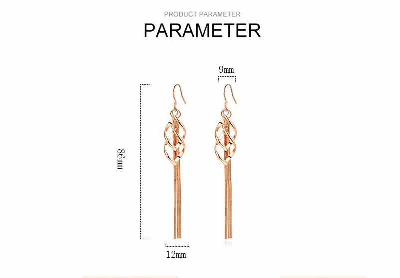 Korean version of fashion exaggerated tassel earrings 925 silver jewellery jewelry studs for women