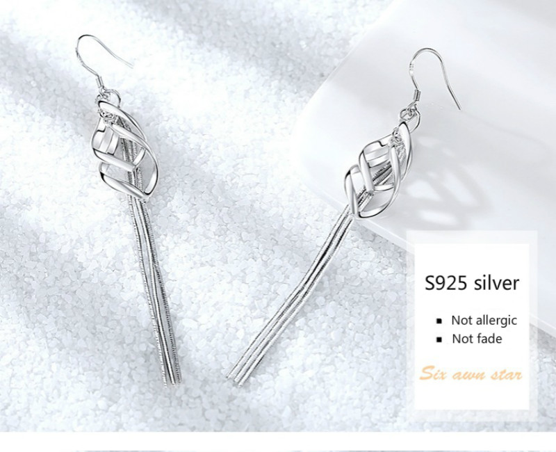Korean version of fashion exaggerated tassel earrings 925 silver jewellery jewelry studs for women
