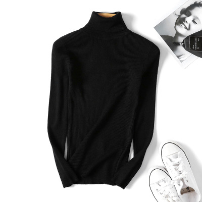 Turtleneck Warm Women Sweater Autumn Winter Femme Pull High Elasticity Soft Female Pullovers Sweater