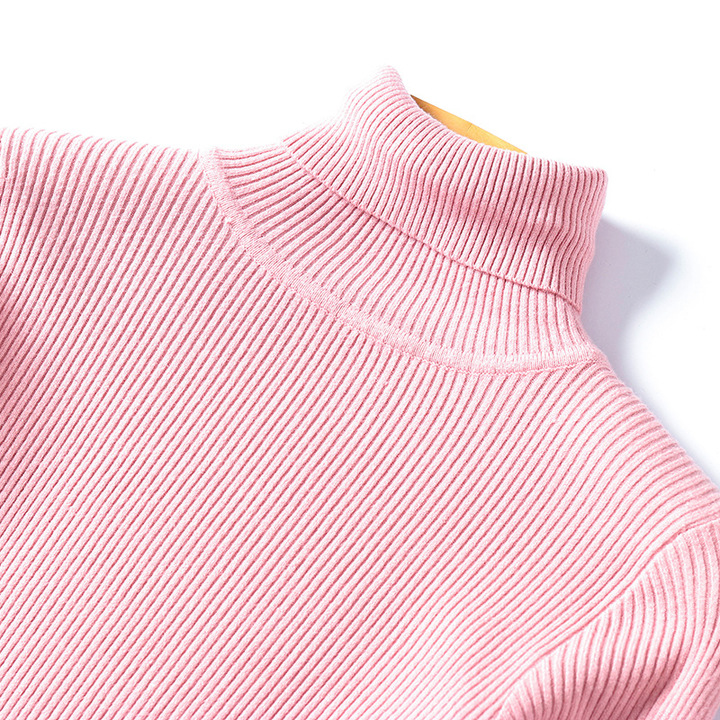 Turtleneck Warm Women Sweater Autumn Winter Femme Pull High Elasticity Soft Female Pullovers Sweater