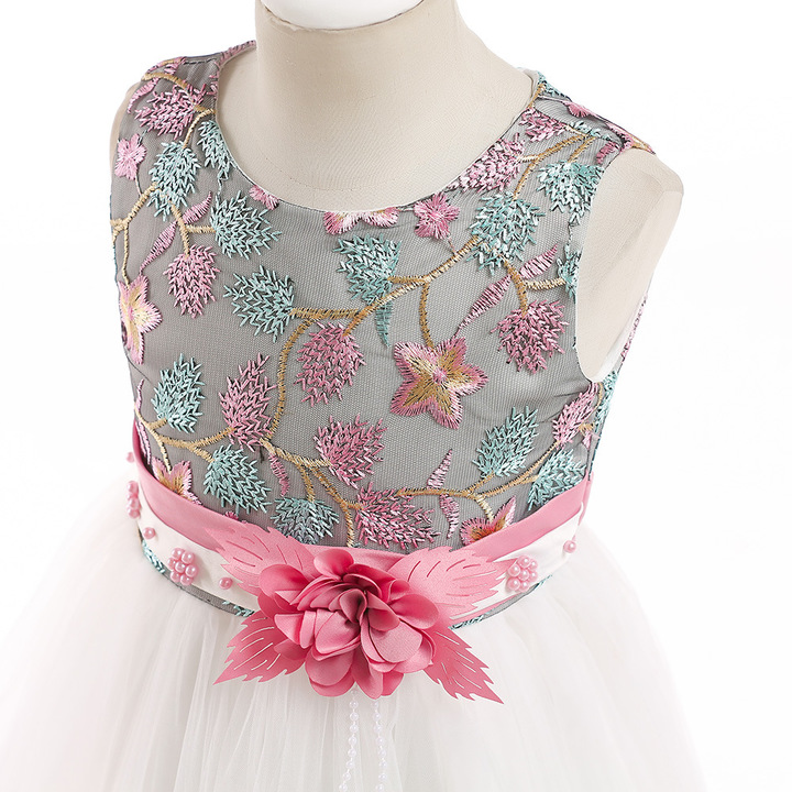 Kids Dresses Girls Party Dress Christmas Girls Dress Children embroidered dress lace princess skirt