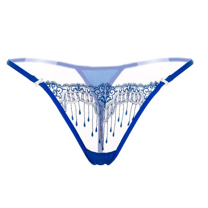 Sexy Triangle Bikini Swimsuits Embroidery Lace G-String Cheeky Hipster Panties For Women KZ6318