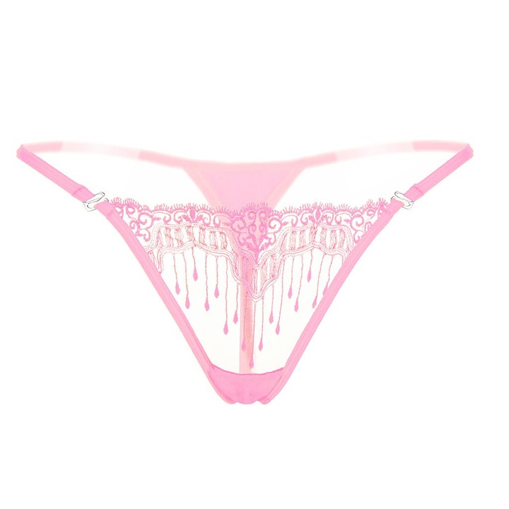 Sexy Triangle Bikini Swimsuits Embroidery Lace G-String Cheeky Hipster Panties For Women KZ6318
