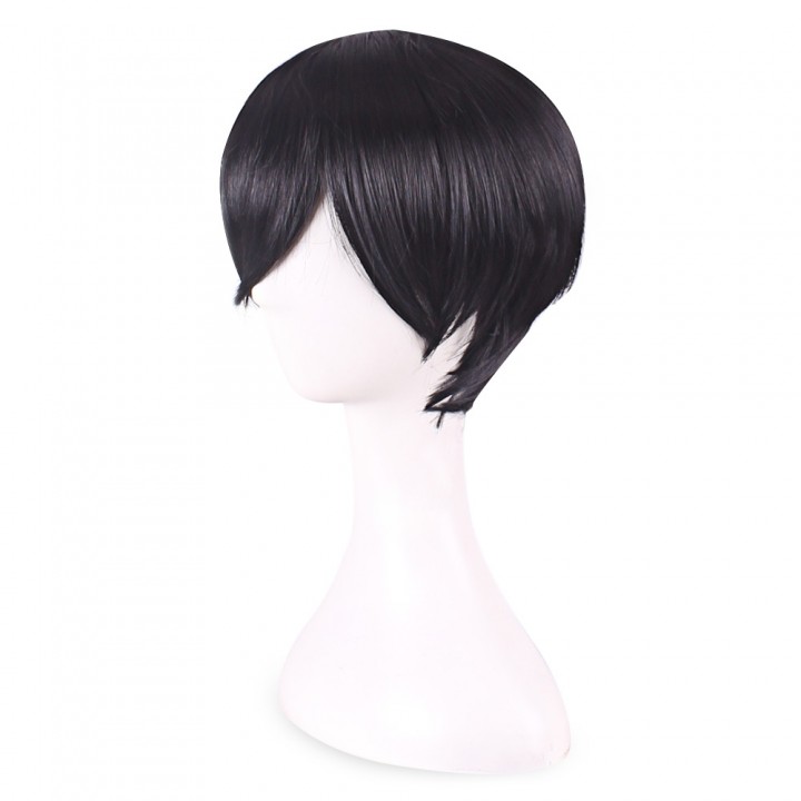 Handsome Sexy Men Short Straight Black Full Hair T