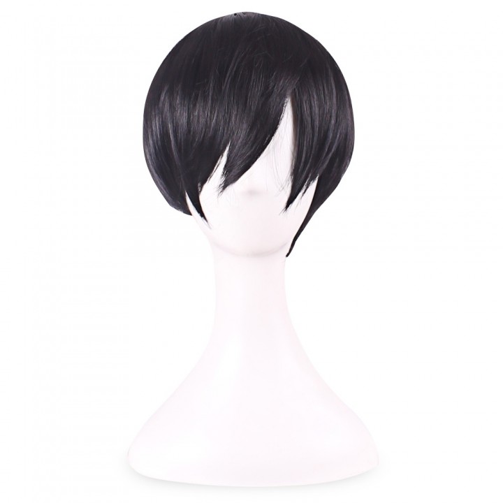 Handsome Sexy Men Short Straight Black Full Hair T