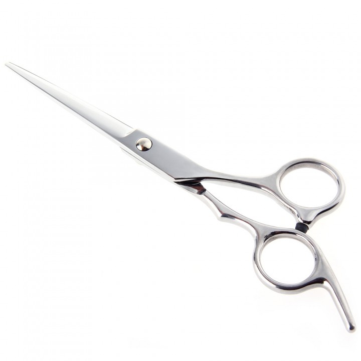 Professional Stainless Steel Hair Scissors Salon C