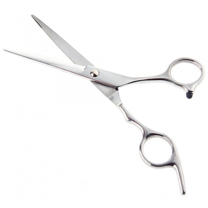Professional Stainless Steel Hair Scissors Salon C