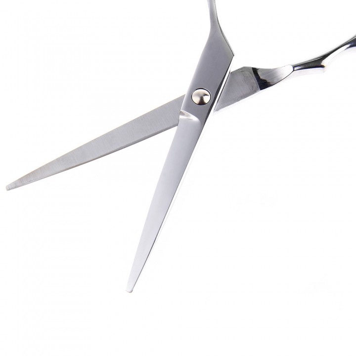 Professional Stainless Steel Hair Scissors Salon C
