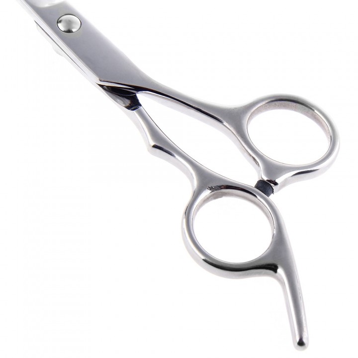 Professional Stainless Steel Hair Scissors Salon C