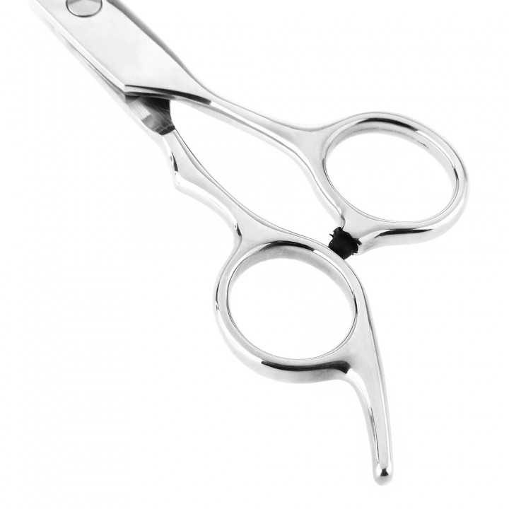 Professional Stainless Steel Hair Scissors Salon C