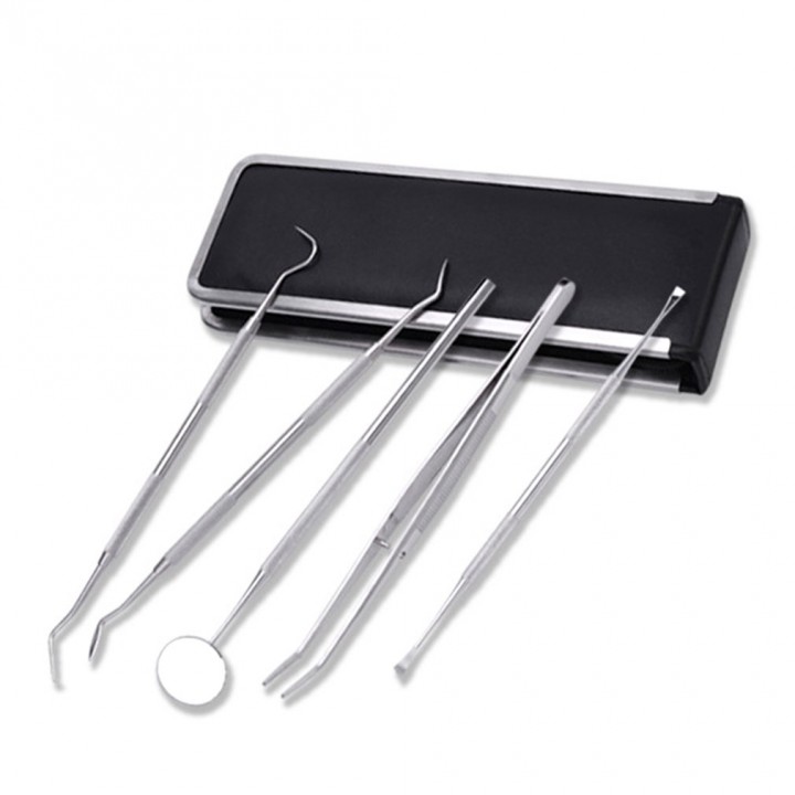 5PCS Oral Care Kit With Leather Storage Box Teeth Stain Tartar Remover Set
