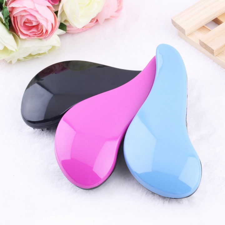 Professional Exquisite Hair Brush Combs Shower Salon Styling Hairbrush
