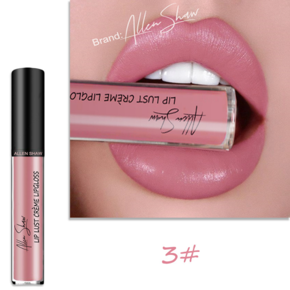 Silky Creamy Texture Lip Gloss view 10