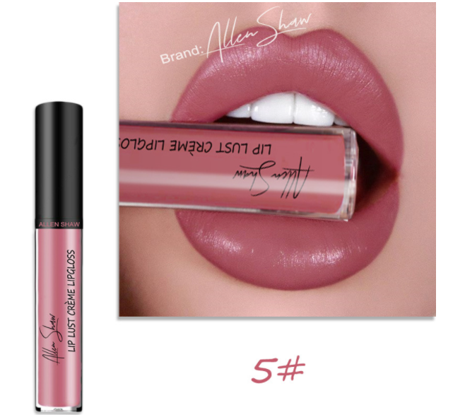 Silky Creamy Texture Lip Gloss view 8